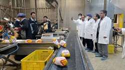 بازدید شبانه بازرس کل قضایی اردبیل از مجتمع کشتارگاه مرغ آرتا جوجه